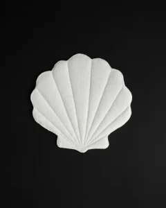 Костеры ракушки, набор из 2 шт