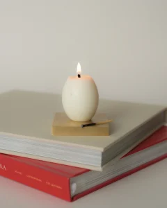 Свеча-яйцо из соевого воска, ГАБИ